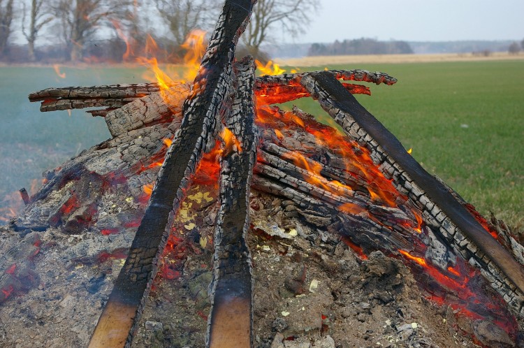 photo_feu_brulage_2