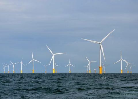 Is there a green bond premium?