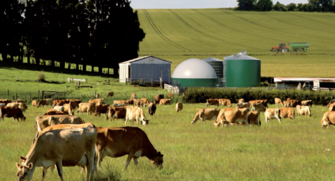 Agriculture et GES : I Care & Consult, l’INRA et le Céréopa travaillent sur un projet de recherche visant à approfondir l’étude des pratiques d’atténuation à « coût négatif »