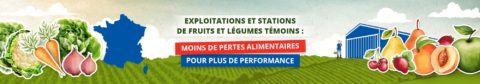 Lancement de l’opération EXPLOITATIONS ET STATIONS DE FRUITS ET LÉGUMES TÉMOINS : MOINS DE PERTES ALIMENTAIRES POUR PLUS DE PERFORMANCE !