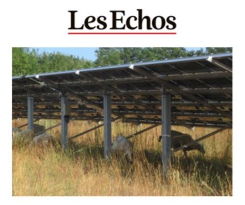 Les Echos publient les résultats de l’étude réalisée par I Care & Consult sur la filière solaire française