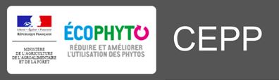 Agriculture durable : lancement officiel des Certificats d’Économie de Produits Phytosanitaires (CEPP)