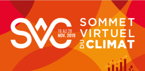 I Care participe au Comité d’Experts du 1er Sommet Virtuel du Climat !