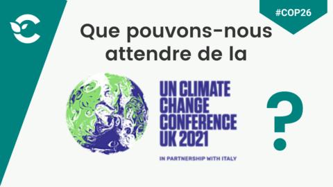 Caring Insight | Que pouvons-nous attendre de la COP26 ?