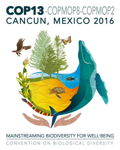COP 13 biodiversité