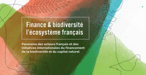 Publication | I Care participe à la rédaction de la publication « Finance & Biodiversité : l’écosystème français »