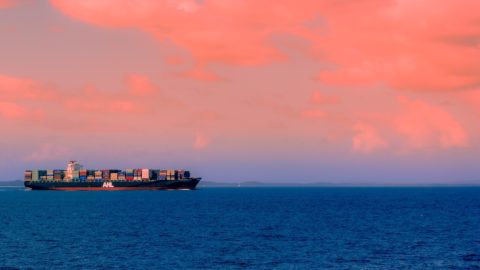 Expert Opinion | Carbon Border Adjustment Mechanism. What are the challenges for companies?