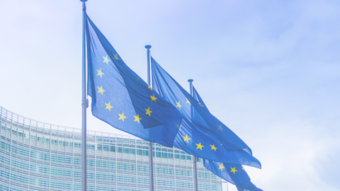 Insight | European Commission Consultation: towards an update of the SFDR regulation?