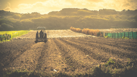 Announcement | Launch of a multi-stakeholder project on Biodiversity Footprinting for the Agricultural Transition