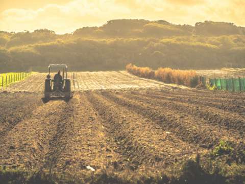 agriculture