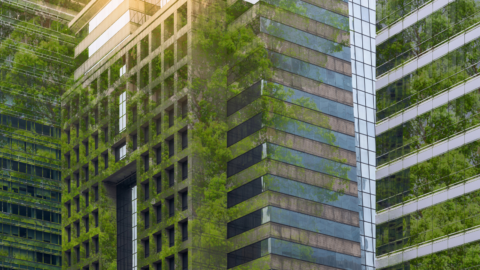 Insight | La Finance à Impact se structure à l’initiative de L’Institut de la Finance Durable